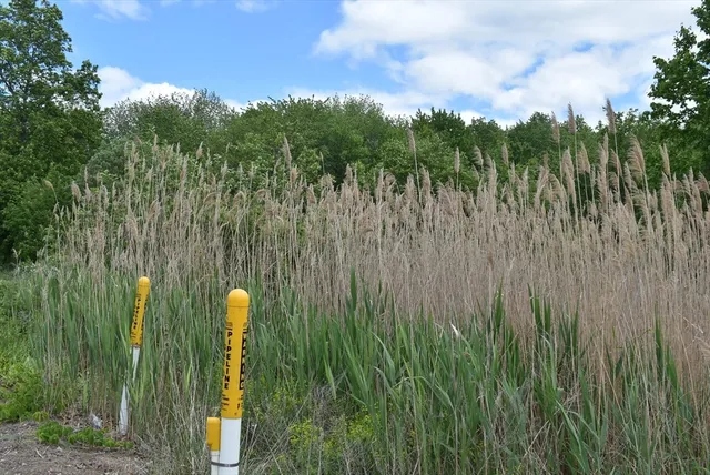 a view of outside space
