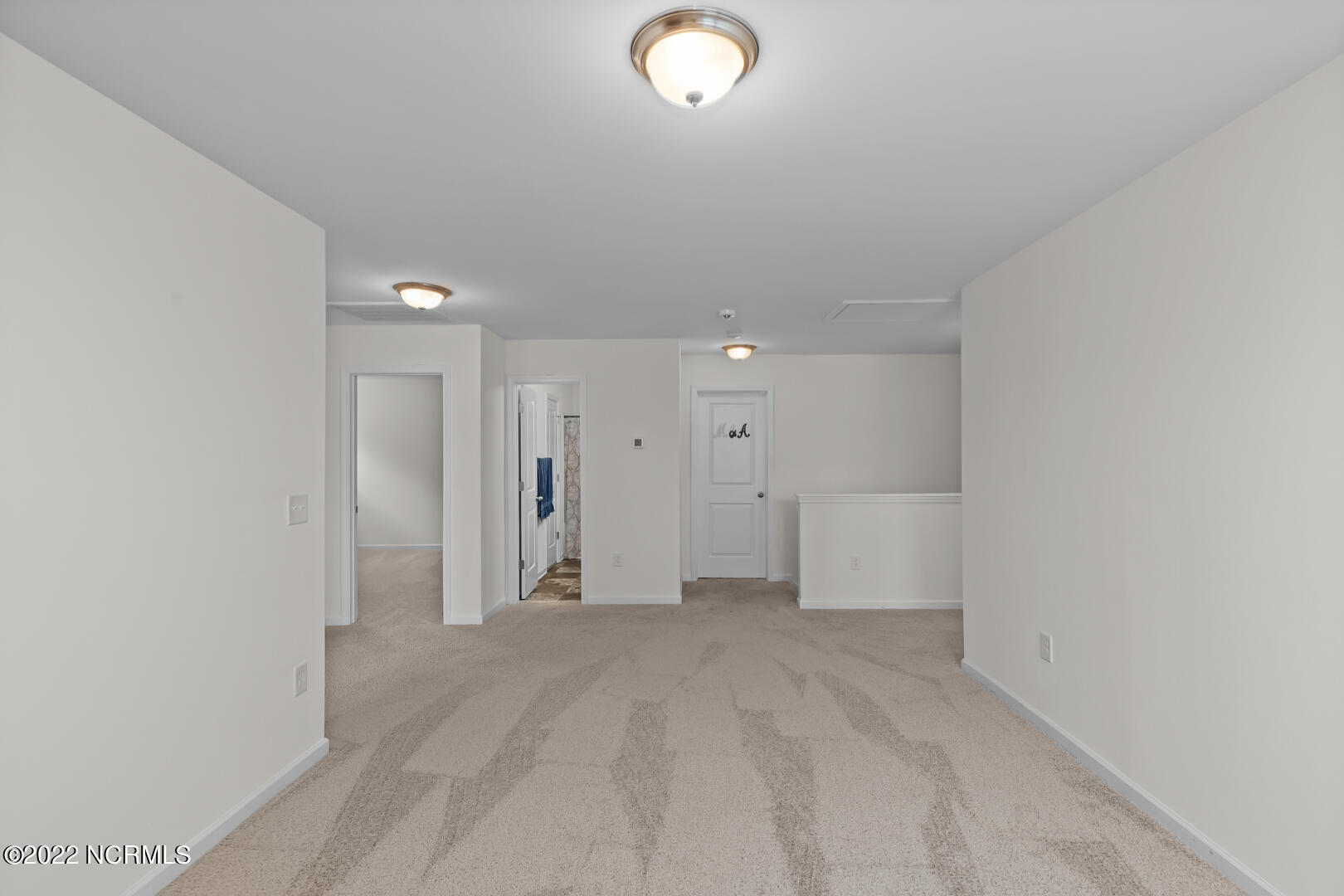 311 Frida Road New Bern, NC 28560 - Photo 14 of 29 loft
