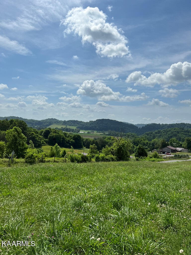 Lot 11 Meadow View Road Rogersville, TN 37857 - Photo 3 of 4 608511_3