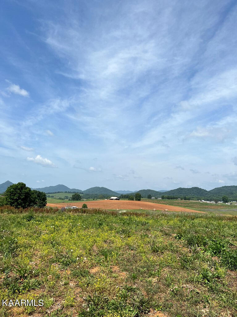 Lot 11 Meadow View Road Rogersville, TN 37857 - Photo 4 of 4 608511_4