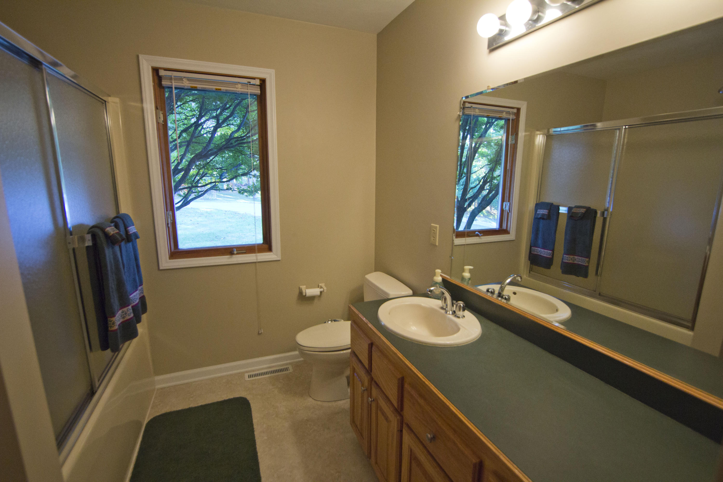 2365 Dugspur Road Callaway, VA 24067 - Photo 22 of 55 a bathroom with a sink a toilet a mirror and shower