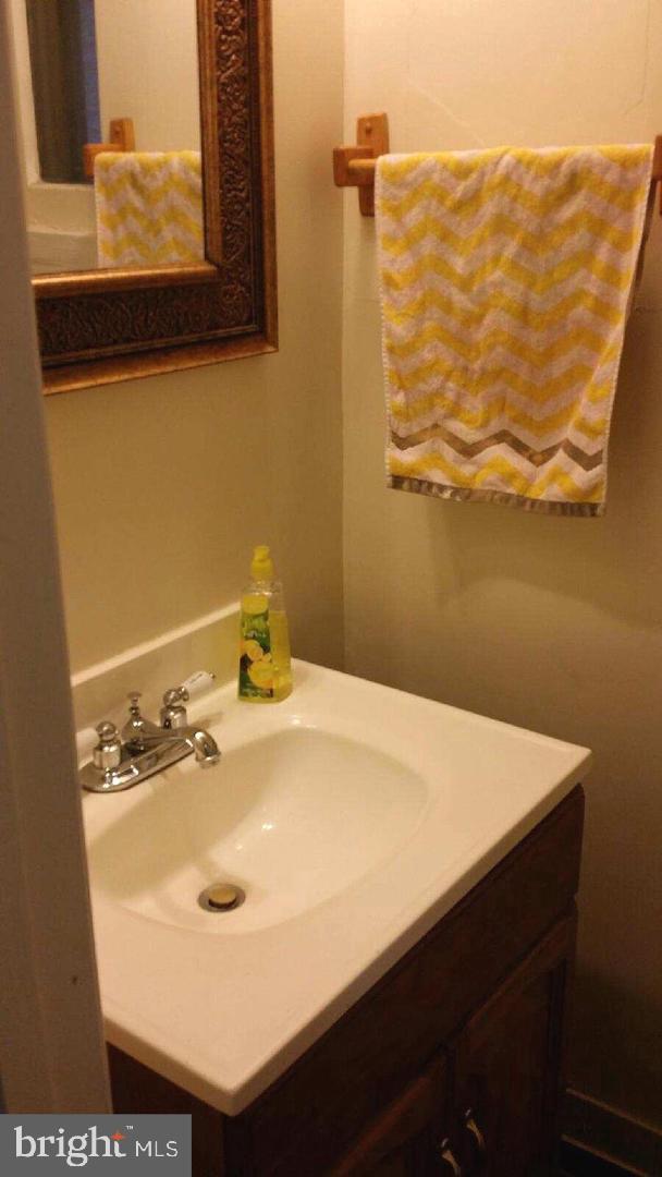 237 Elm Street Northwest Washington, DC 20001 - Photo 2 of 7 a bathroom with a sink and a mirror
