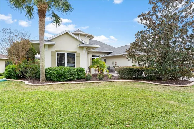 a view of backyard with potted plants