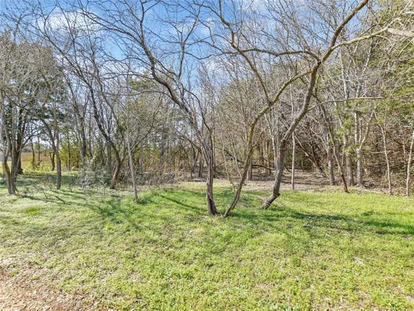 a green field with lots of trees