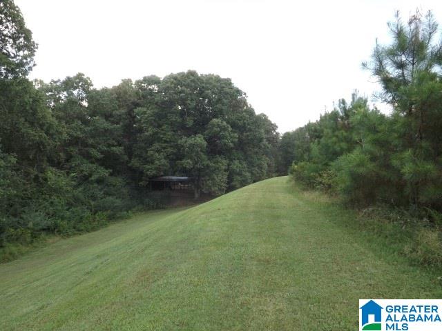 435 Wow Road, Unit 59 Blountsville, AL 35031 - Photo 28 of 49