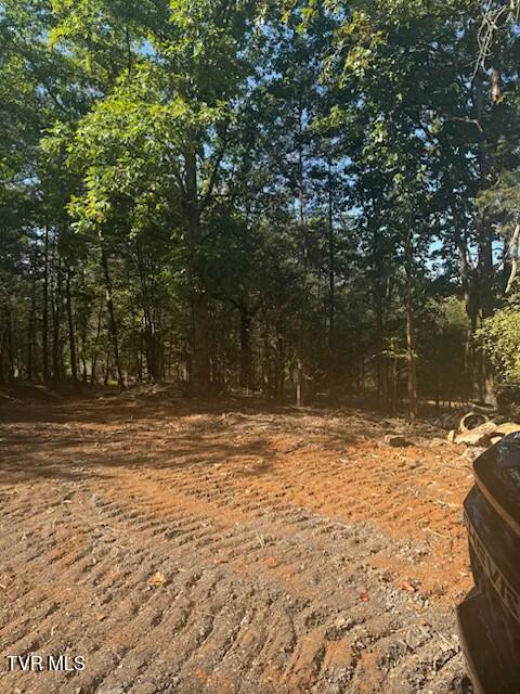 Tbd Buncombe Road Blountville, TN 37617 - Photo 2 of 4 IMG_1680