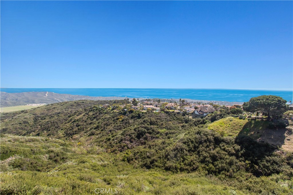 608 Via Promontorio San Clemente, CA 92672 - Photo 45 of 48