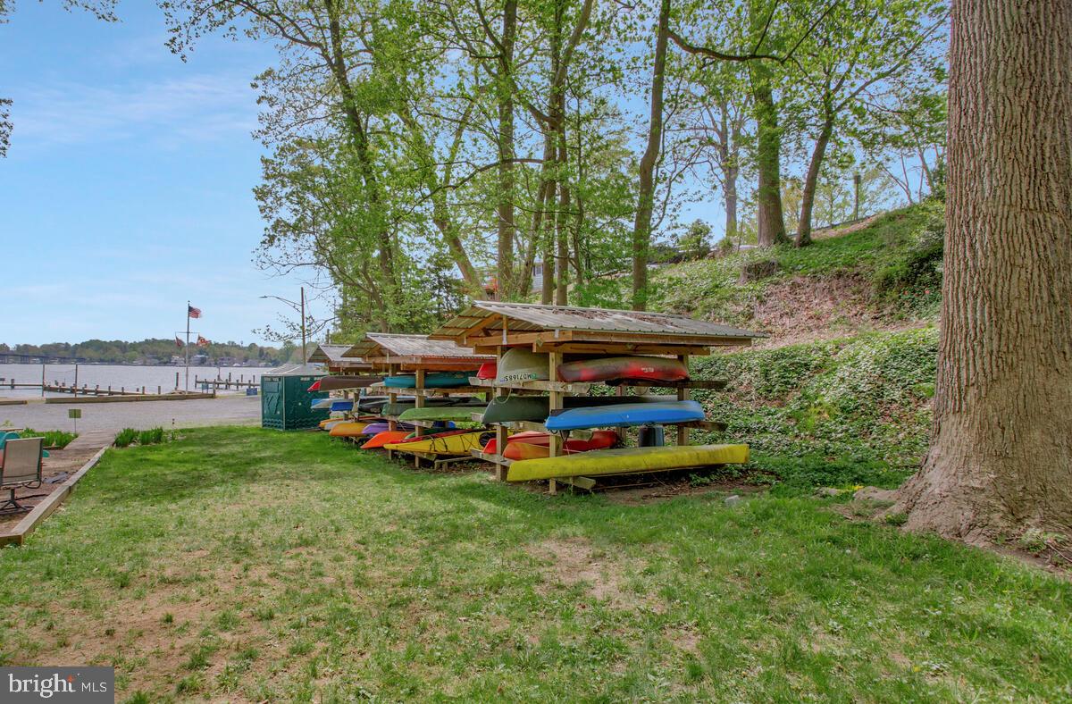 251 Cape St John Road Annapolis, MD 21401 - Photo 4 of 61 a view of a yard with large trees
