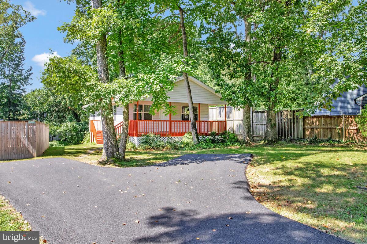 251 Cape St John Road Annapolis, MD 21401 - Photo 43 of 61 a front view of a house with a yard and a large tree