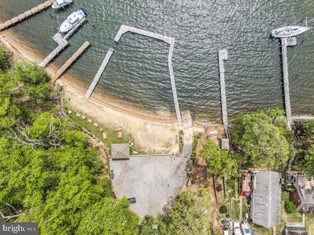 251 Cape St John Road Annapolis, MD 21401 - Photo 57 of 61 a view of potted plants