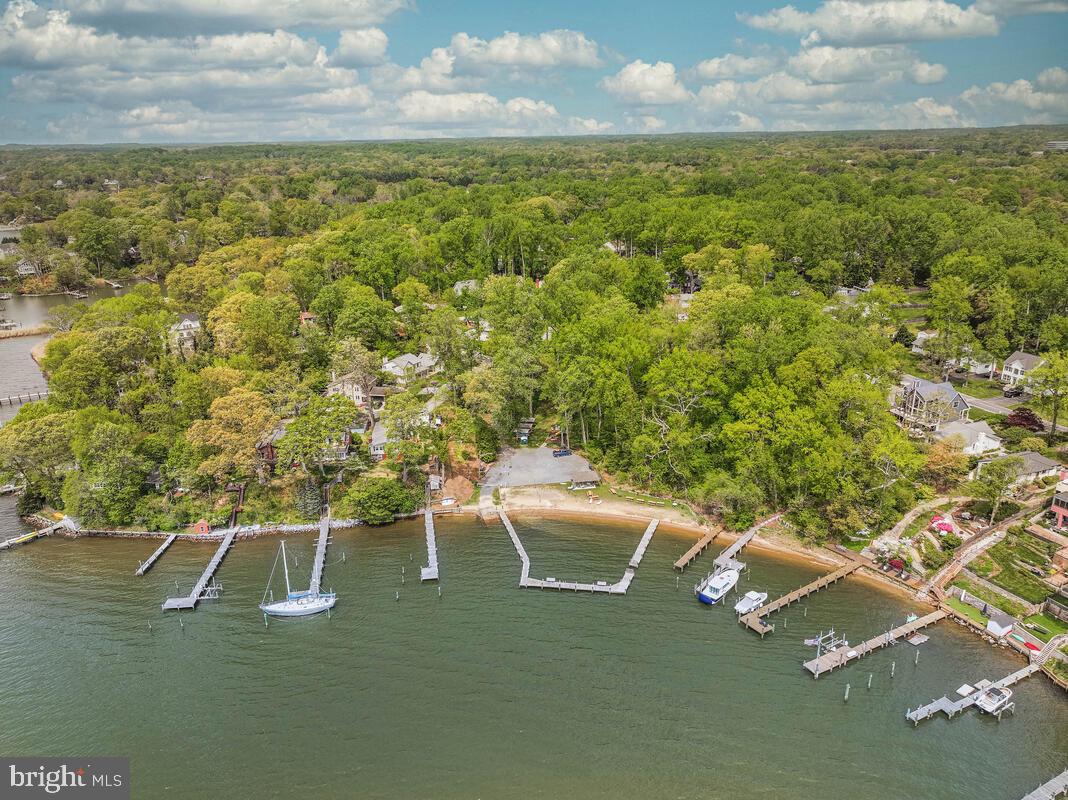 251 Cape St John Road Annapolis, MD 21401 - Photo 58 of 61 a view of a yard with an outdoor space