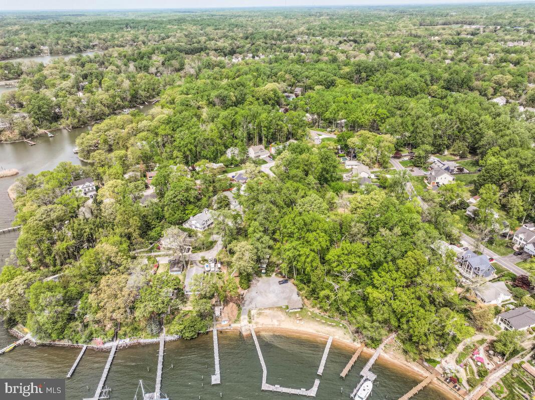 251 Cape St John Road Annapolis, MD 21401 - Photo 59 of 61 a view of outdoor space and garden view