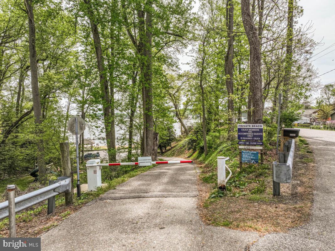 251 Cape St John Road Annapolis, MD 21401 - Photo 61 of 61 a view of a bench in a garden