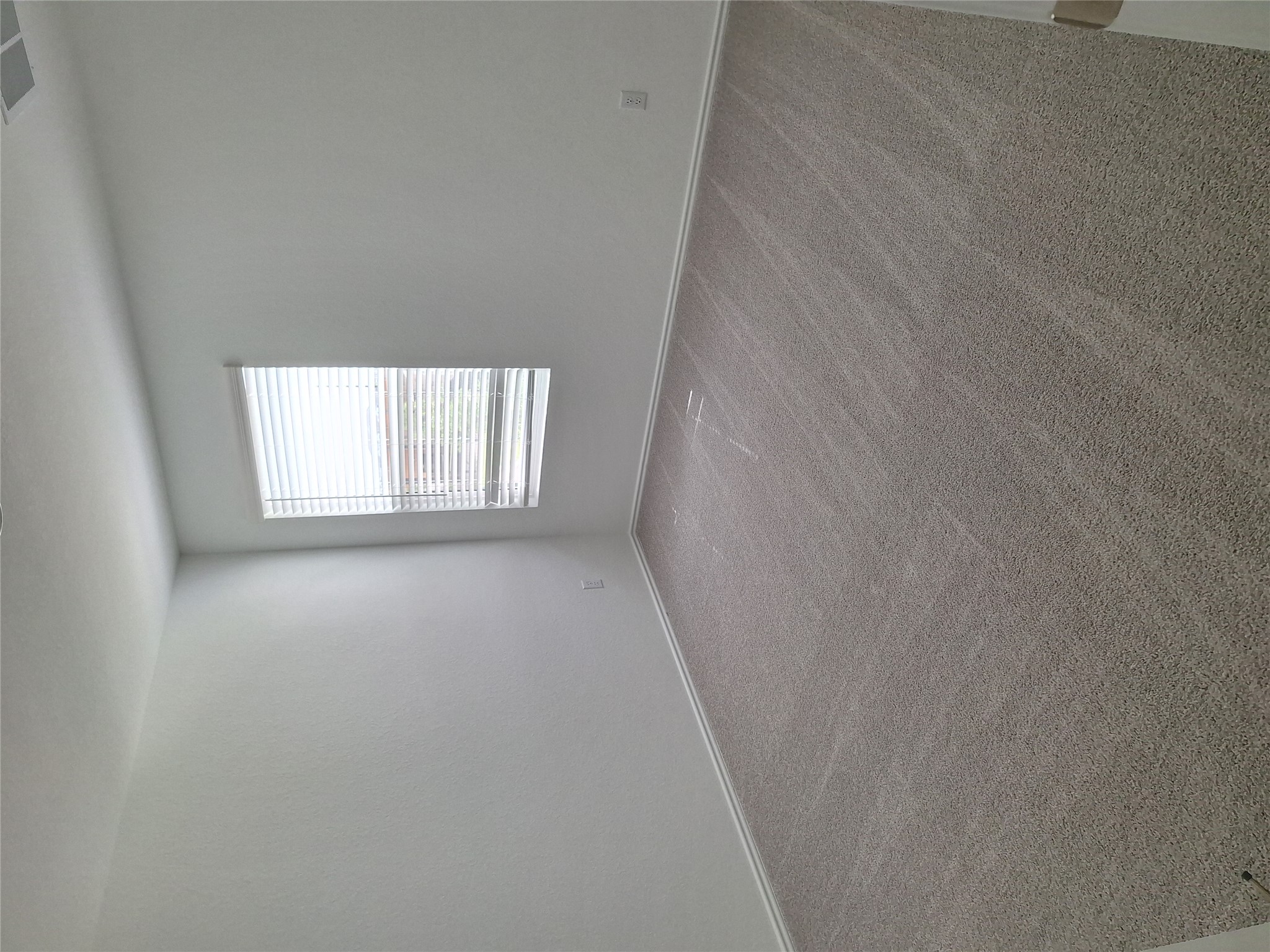 18001 Prairie Falcon Way Pflugerville, TX 78660 - Photo 9 of 38 Neutral tone wall finishes complemented by light-colored carpeting