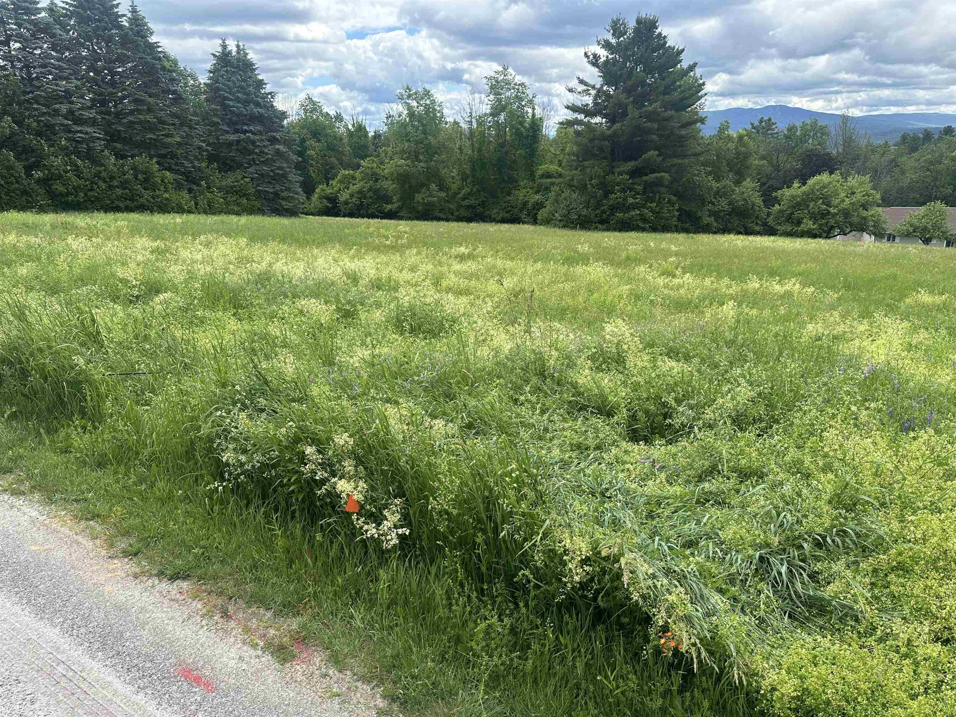 Lot 31 North Road Sunapee, NH 03782 - Photo 4 of 13