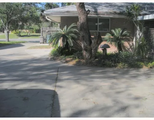 a view of a backyard