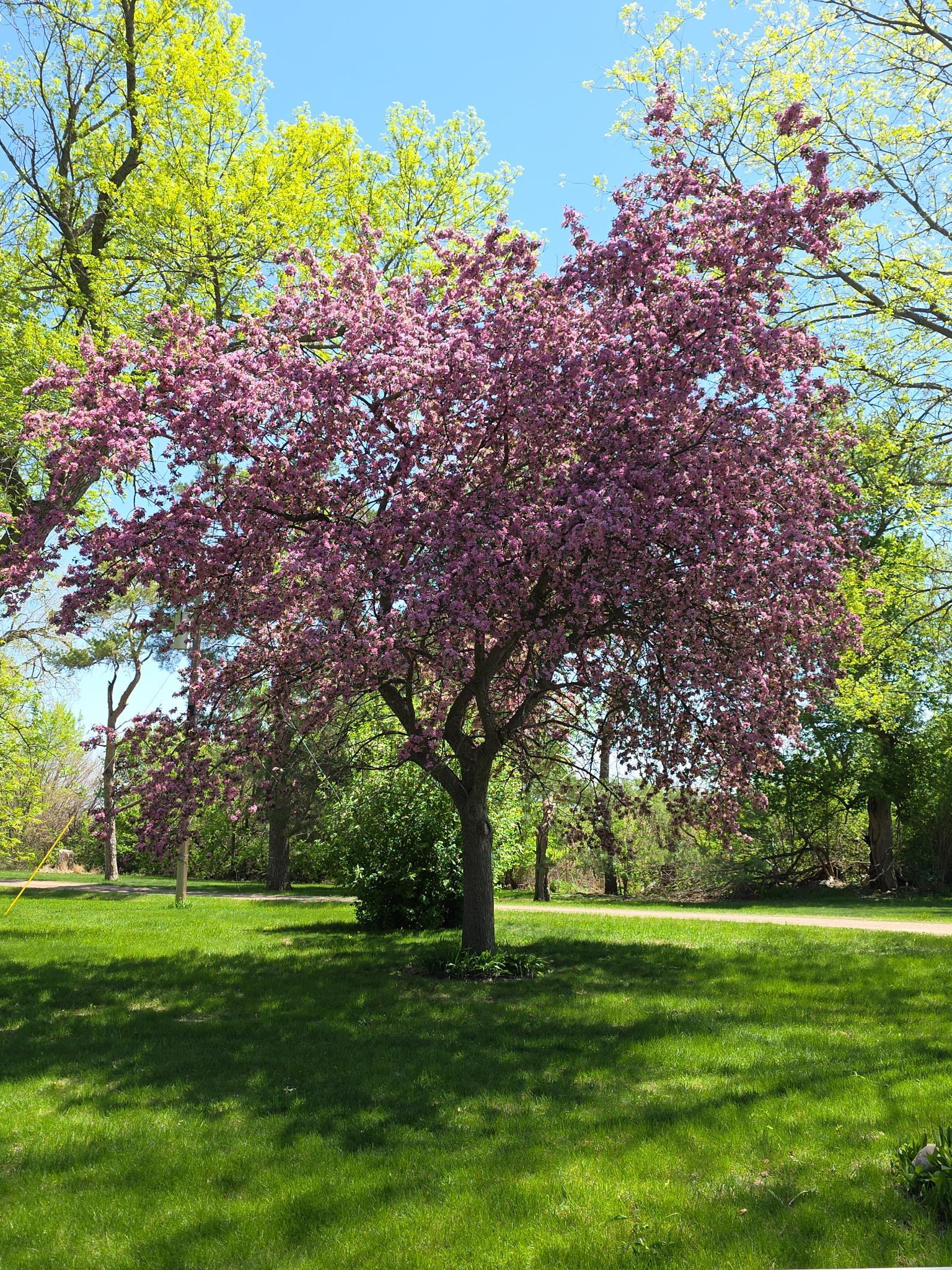 2675 380th Street Boyd, MN 56218 - Photo 102 of 118