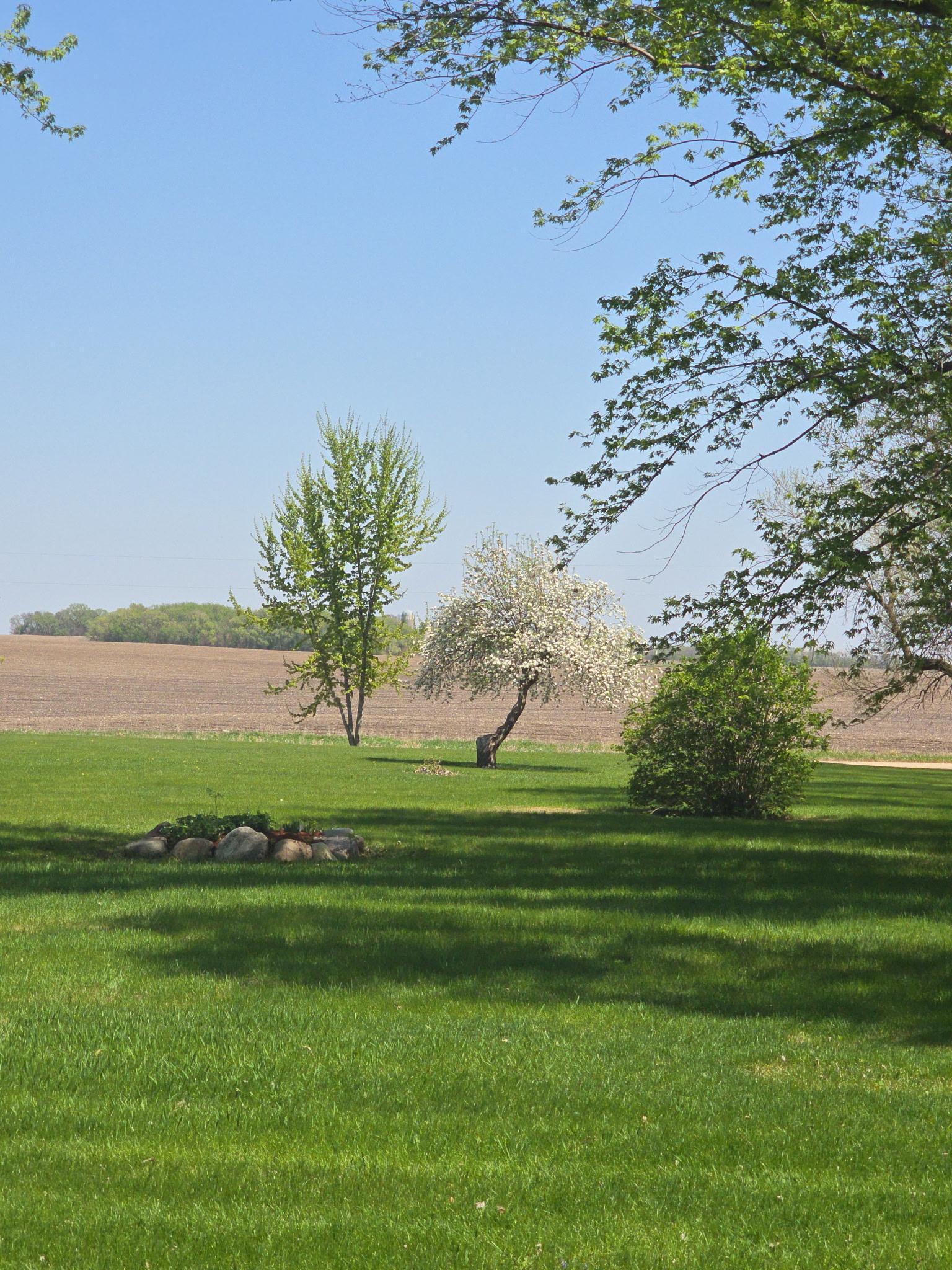 2675 380th Street Boyd, MN 56218 - Photo 106 of 118