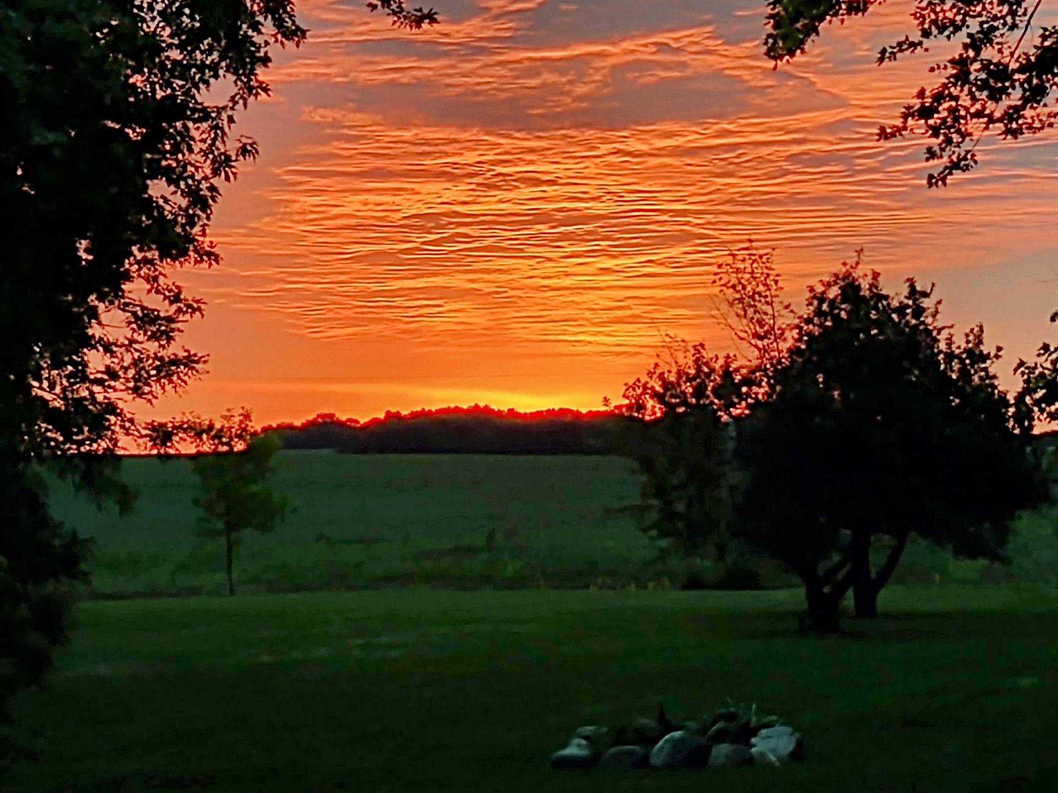 2675 380th Street Boyd, MN 56218 - Photo 81 of 118