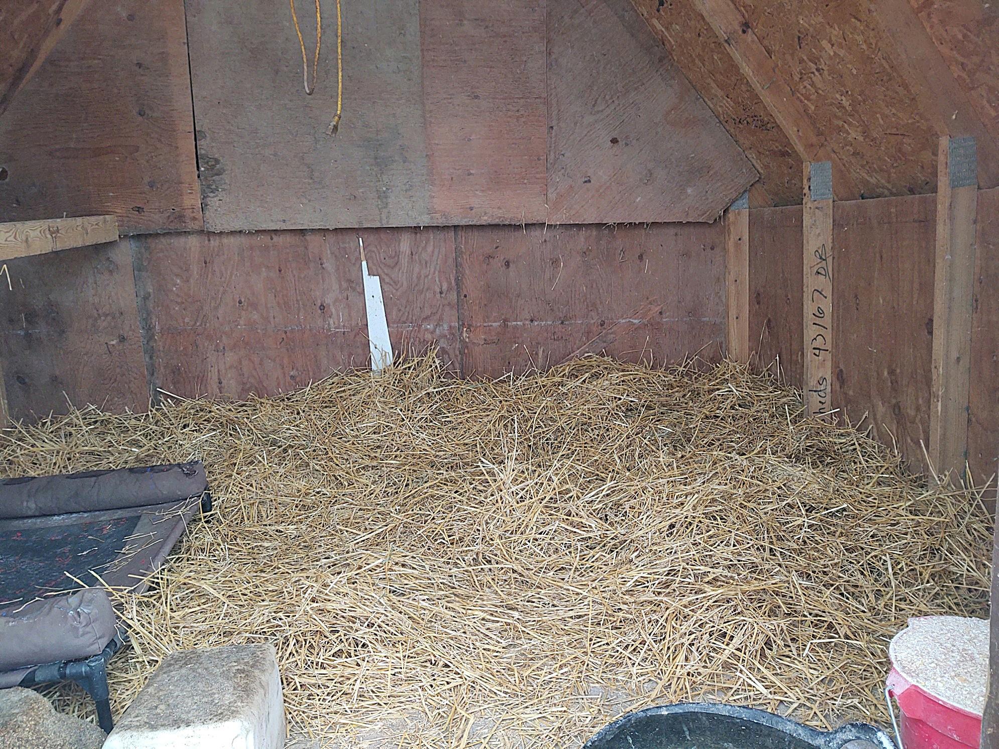 2675 380th Street Boyd, MN 56218 - Photo 82 of 118