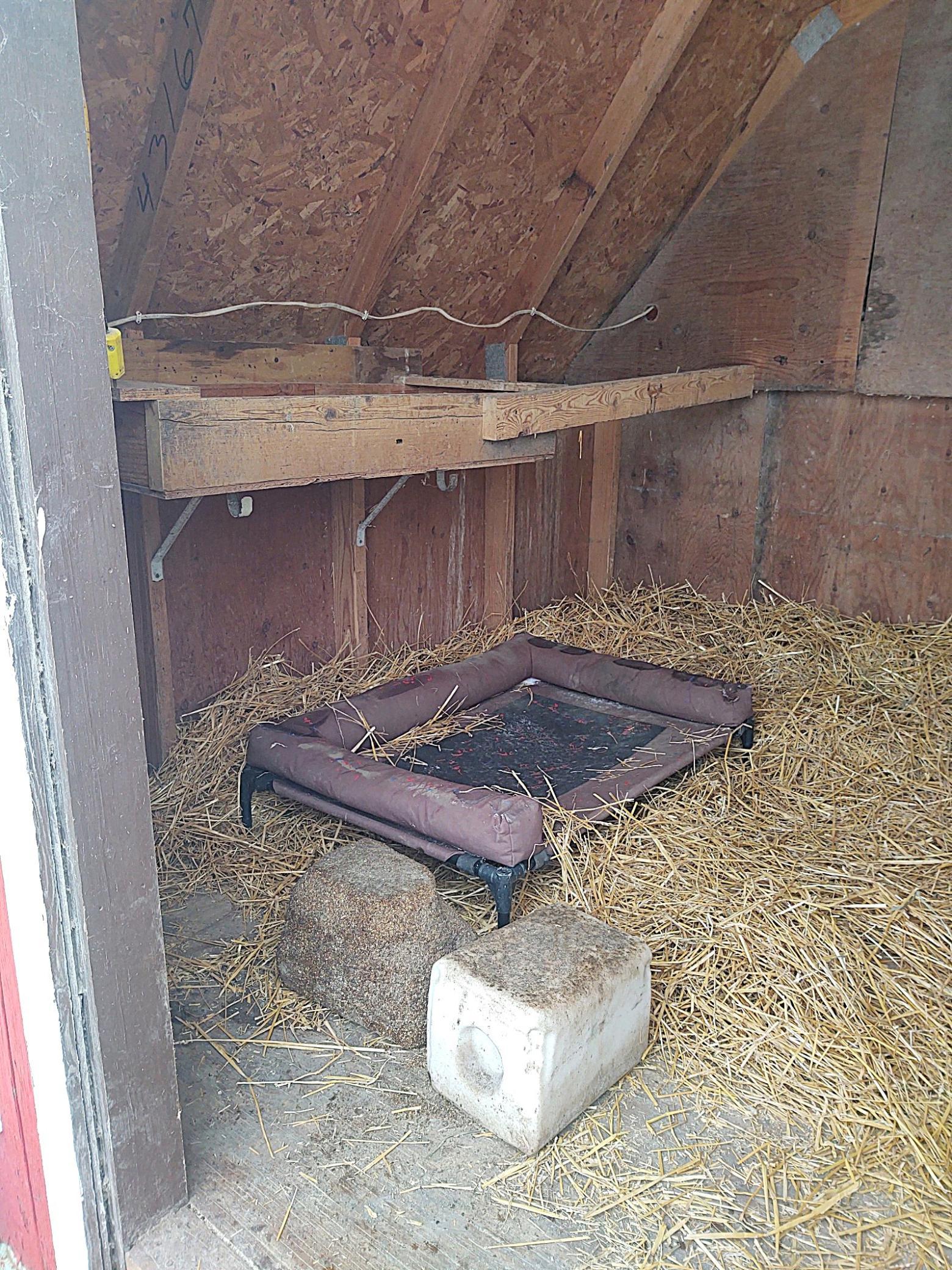 2675 380th Street Boyd, MN 56218 - Photo 83 of 118