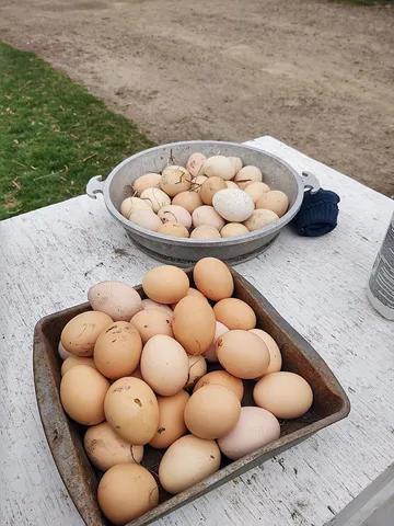 $425,900 | 2675 380th Street, Boyd, MN 56218