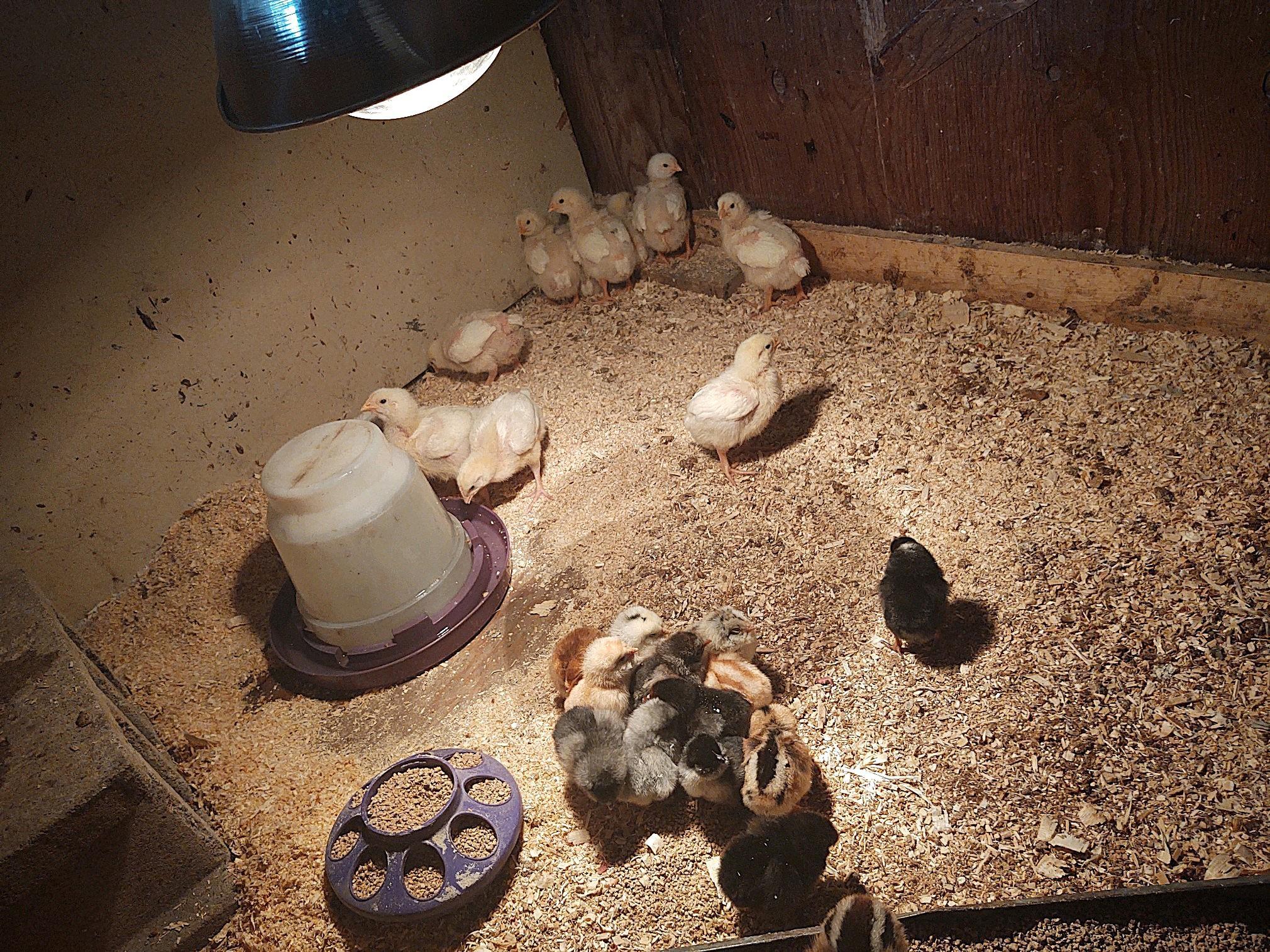 2675 380th Street Boyd, MN 56218 - Photo 86 of 118