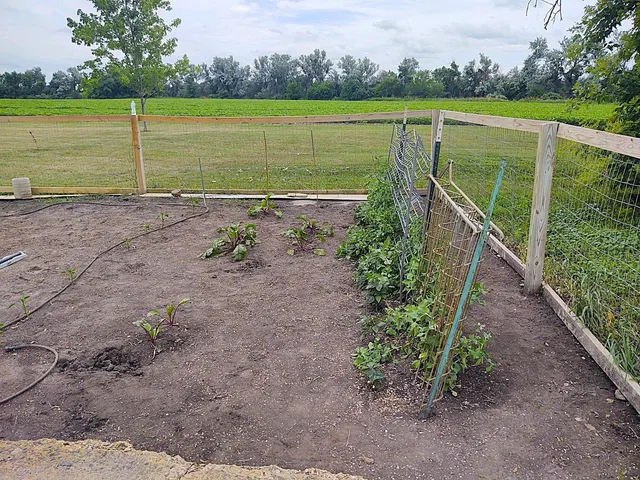 $425,900 | 2675 380th Street, Boyd, MN 56218