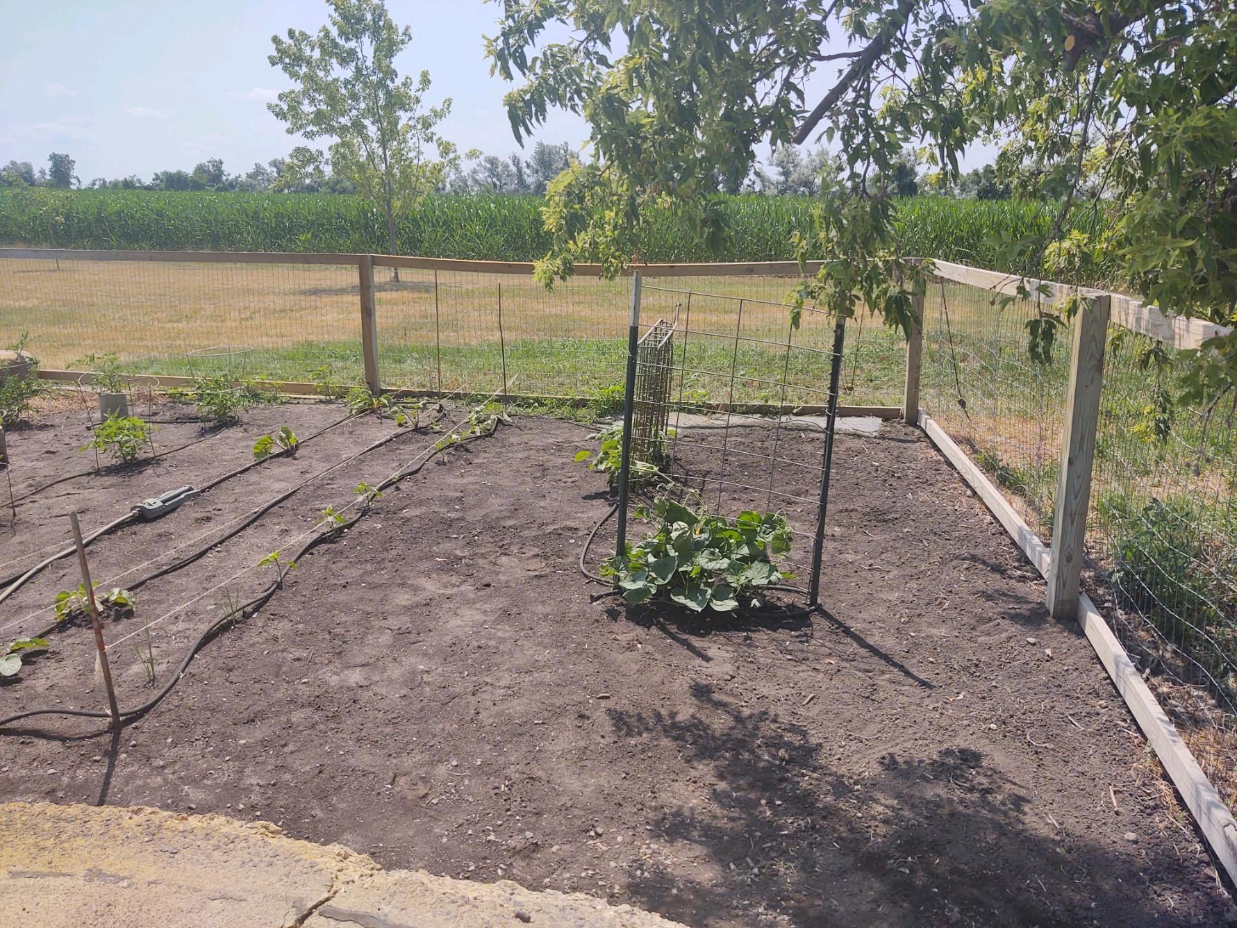 2675 380th Street Boyd, MN 56218 - Photo 91 of 118