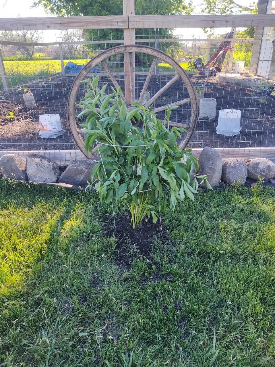 2675 380th Street Boyd, MN 56218 - Photo 92 of 118