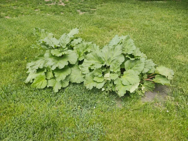 $425,900 | 2675 380th Street, Boyd, MN 56218