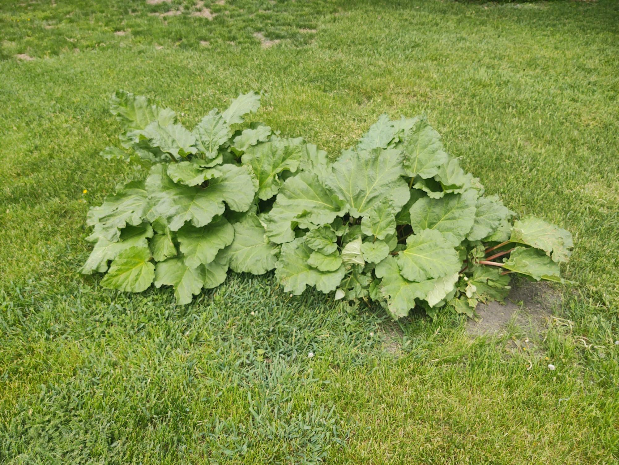 2675 380th Street Boyd, MN 56218 - Photo 93 of 118