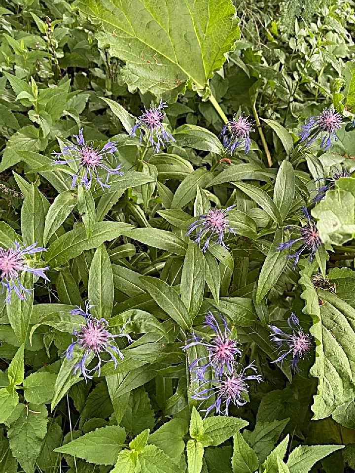 2675 380th Street Boyd, MN 56218 - Photo 95 of 118