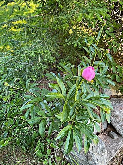 2675 380th Street Boyd, MN 56218 - Photo 96 of 118