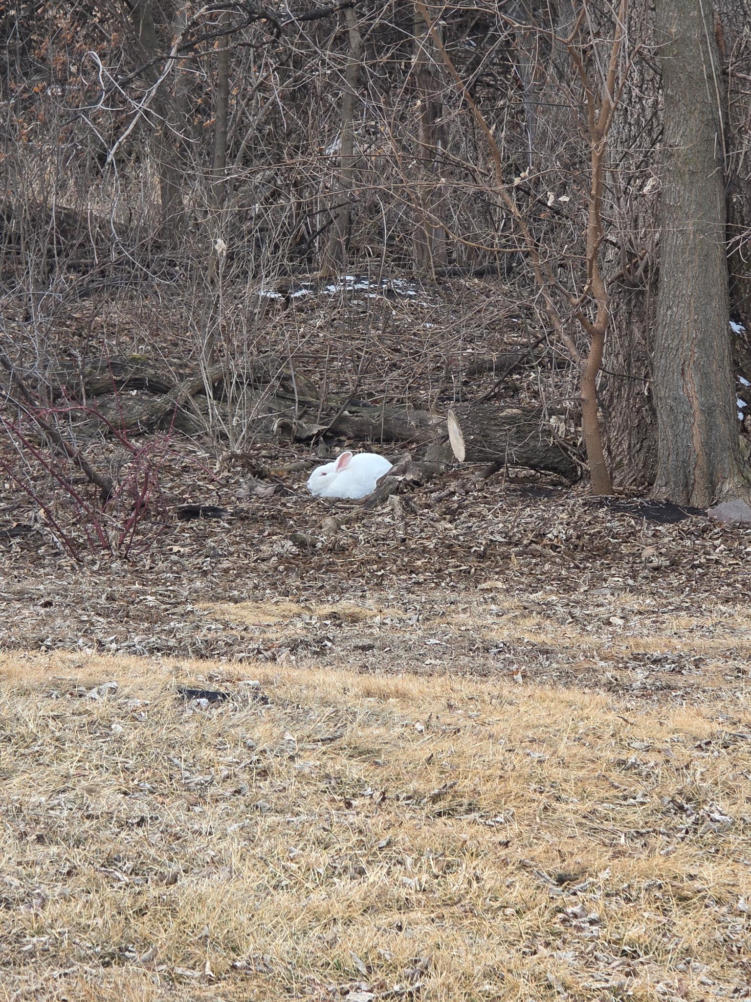 2675 380th Street Boyd, MN 56218 - Photo 97 of 118