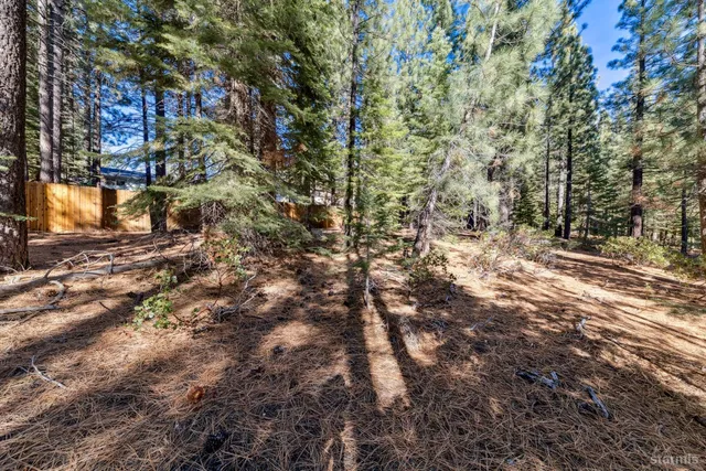 a view of a yard with trees