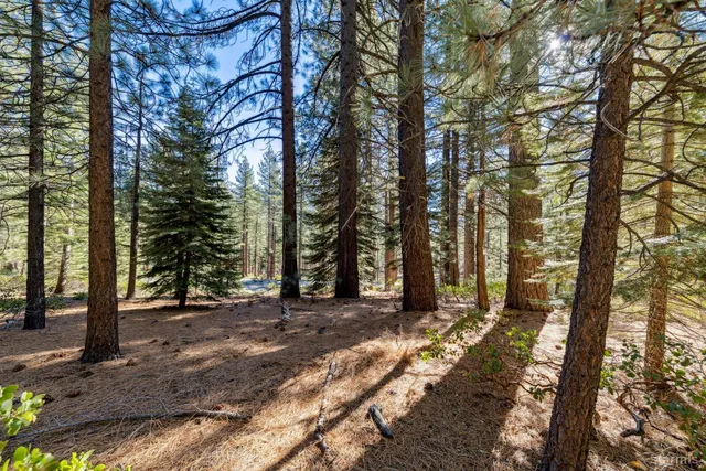 a view of outdoor space with trees