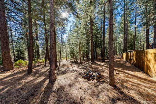 a view of a yard with trees