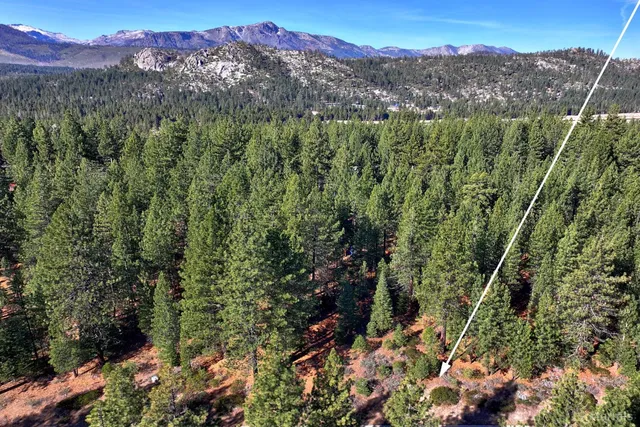 a view of a lush green hillside and a houses