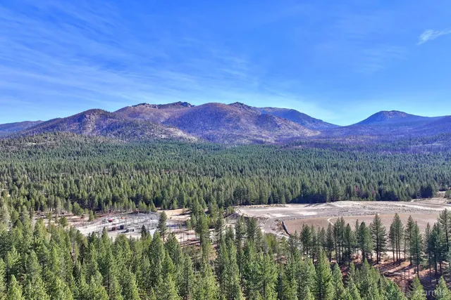 a view of a lush green field