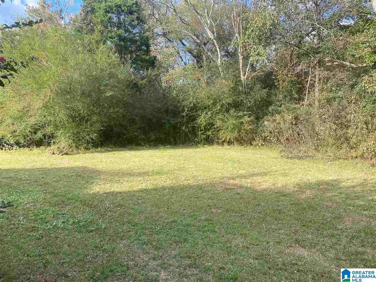 168 Mardisville Road Talladega, AL 35160 - Photo 40 of 44