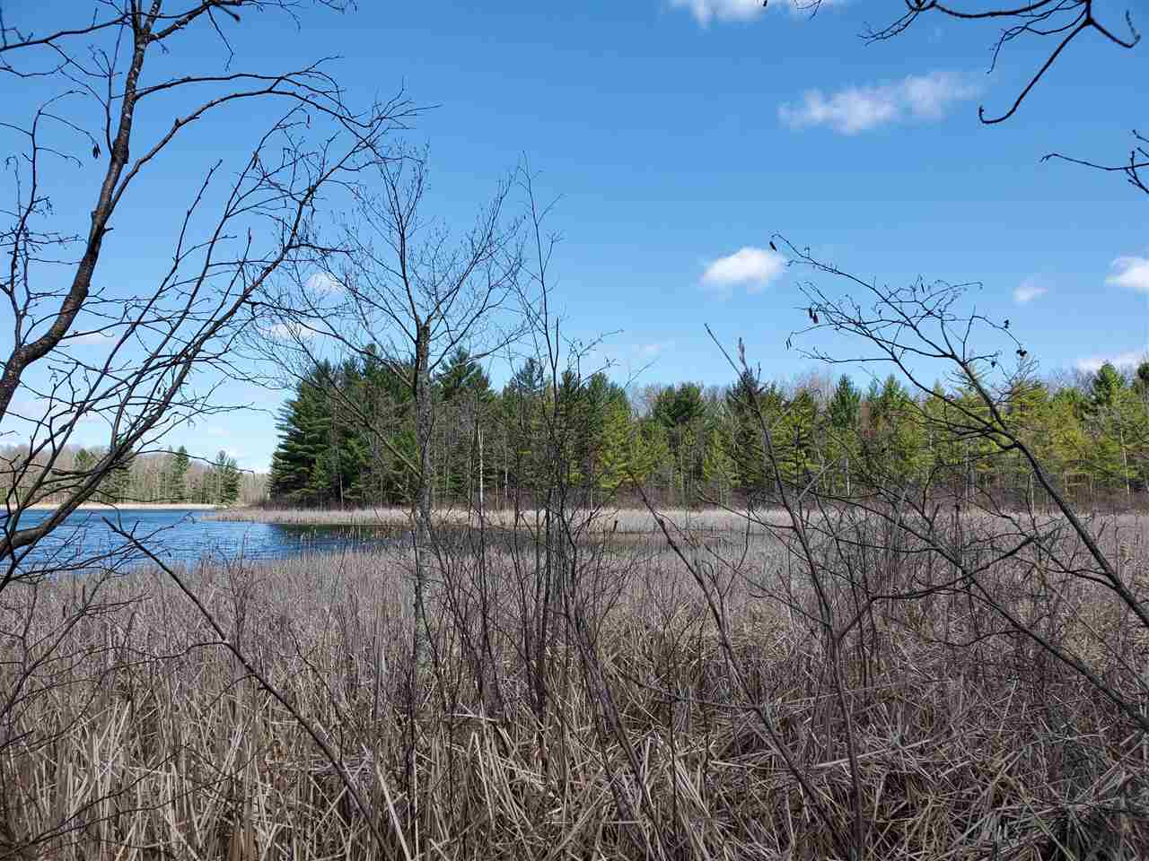 23 Forman Baldwin, MI 49304 - Photo 1 of 1