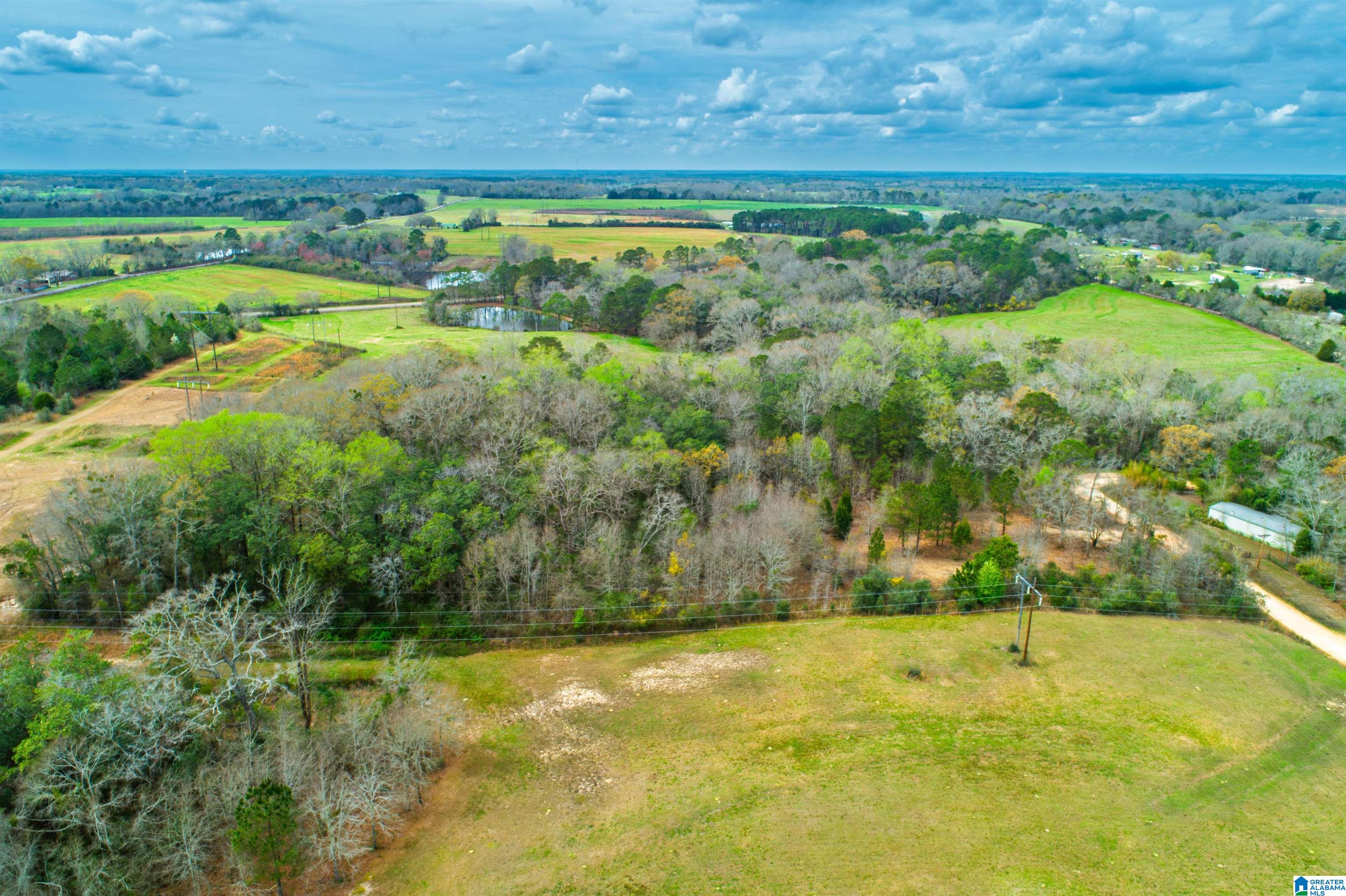27180 Deer Run Road Opp, AL 36467 - Photo 8 of 60