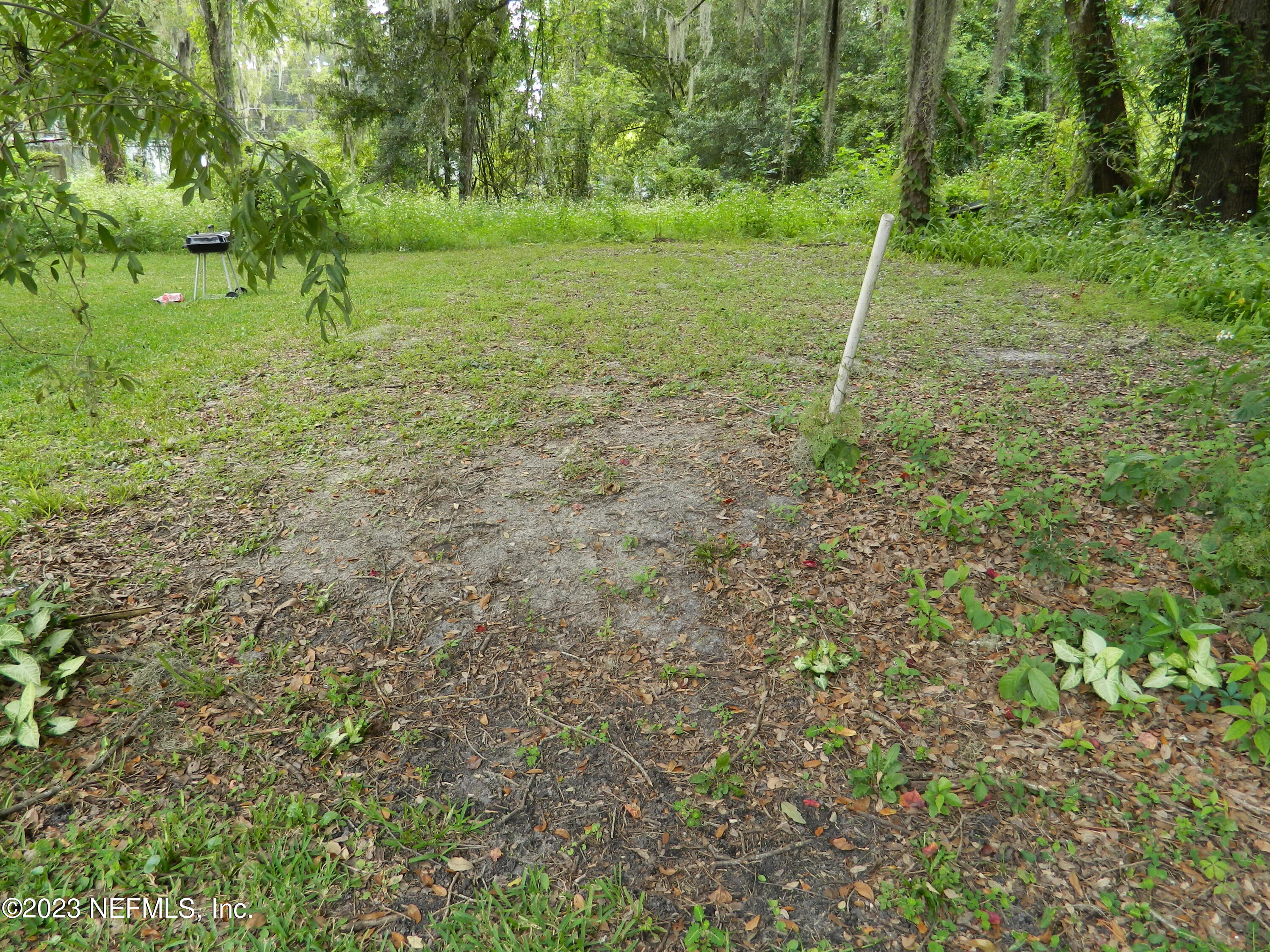 2463 Jernigan Road Jacksonville, FL 32207 - Photo 7 of 9 DSCN7150