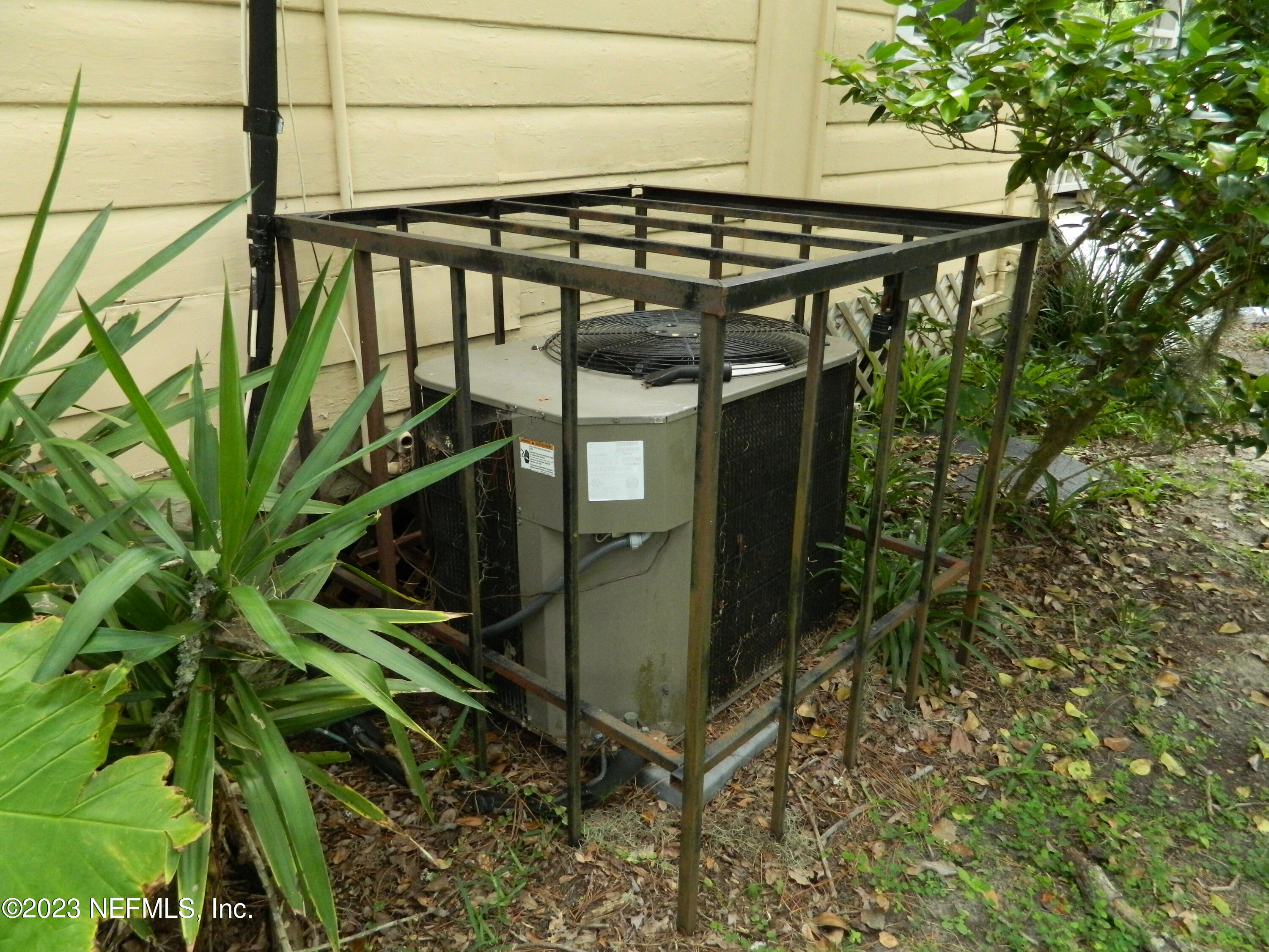2463 Jernigan Road Jacksonville, FL 32207 - Photo 9 of 9 DSCN7152
