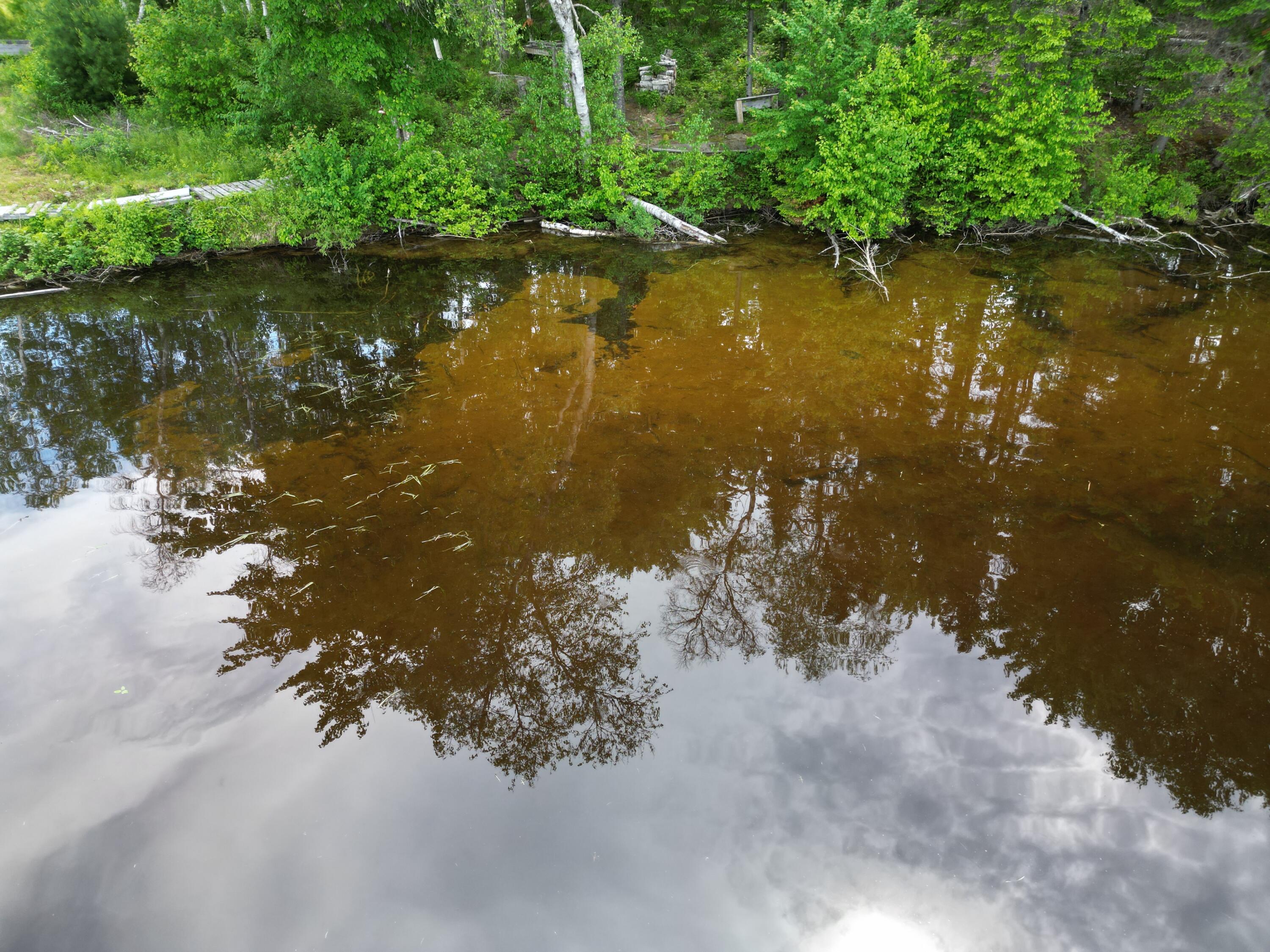 1000 Pattagumpus Road Medway, ME 04460 - Photo 26 of 38 DJI_0323