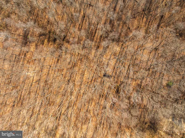 a view of beach and lake