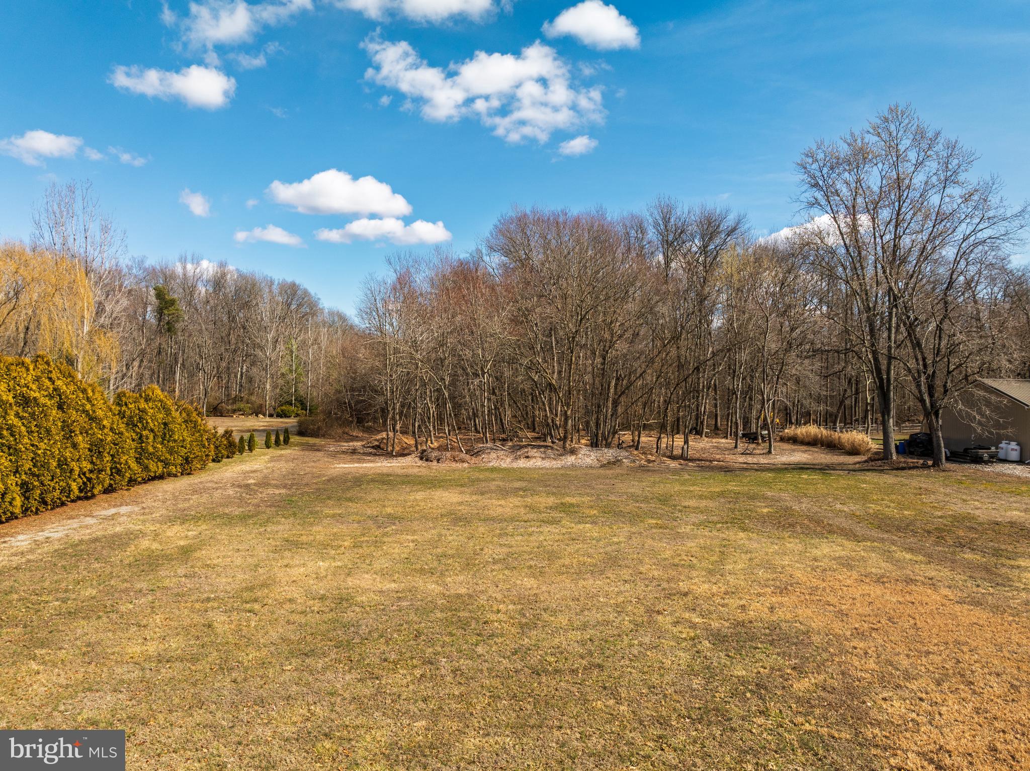 10669 Chesterville Forest Road Millington, MD 21651 - Photo 15 of 26 a view of a yard with a large tree