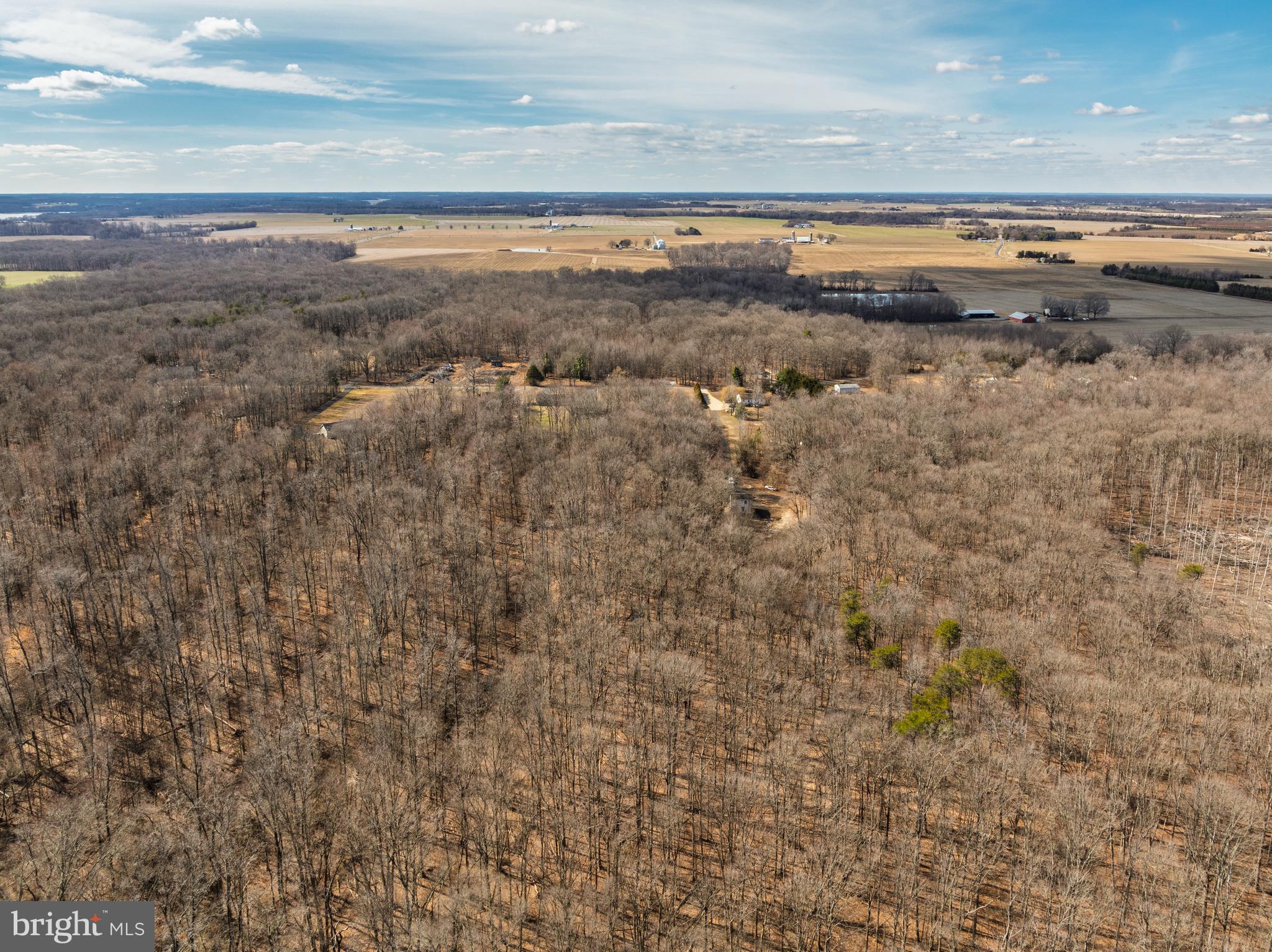 10669 Chesterville Forest Road Millington, MD 21651 - Photo 18 of 26 a view of an ocean beach