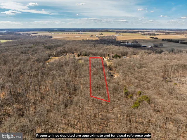 a view of large yard with trees